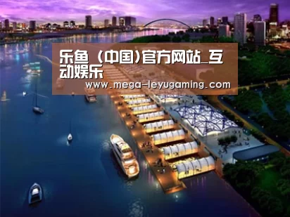 案例展示八