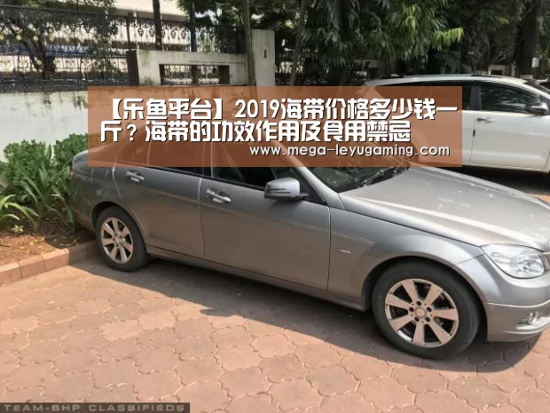 体育娱乐