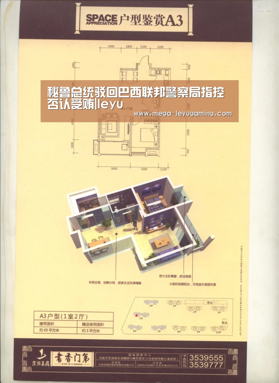 秘鲁总统驳回巴西联邦警察局指控 否认受贿|leyu(图1)