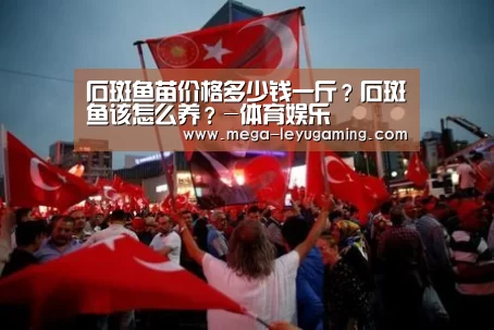 石斑鱼苗价格多少钱一斤？石斑鱼该怎么养？-体育娱乐(图3)