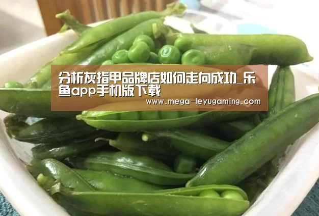 分析灰指甲品牌店如何走向成功_乐鱼app手机版下载(图2)