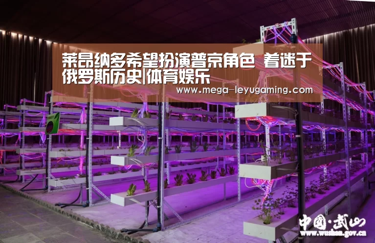 体育娱乐