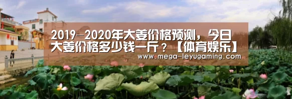 2019-2020年大姜价格预测,今日大姜价格多少钱一斤?【体育娱乐】(图1) 乐鱼app手机版下载