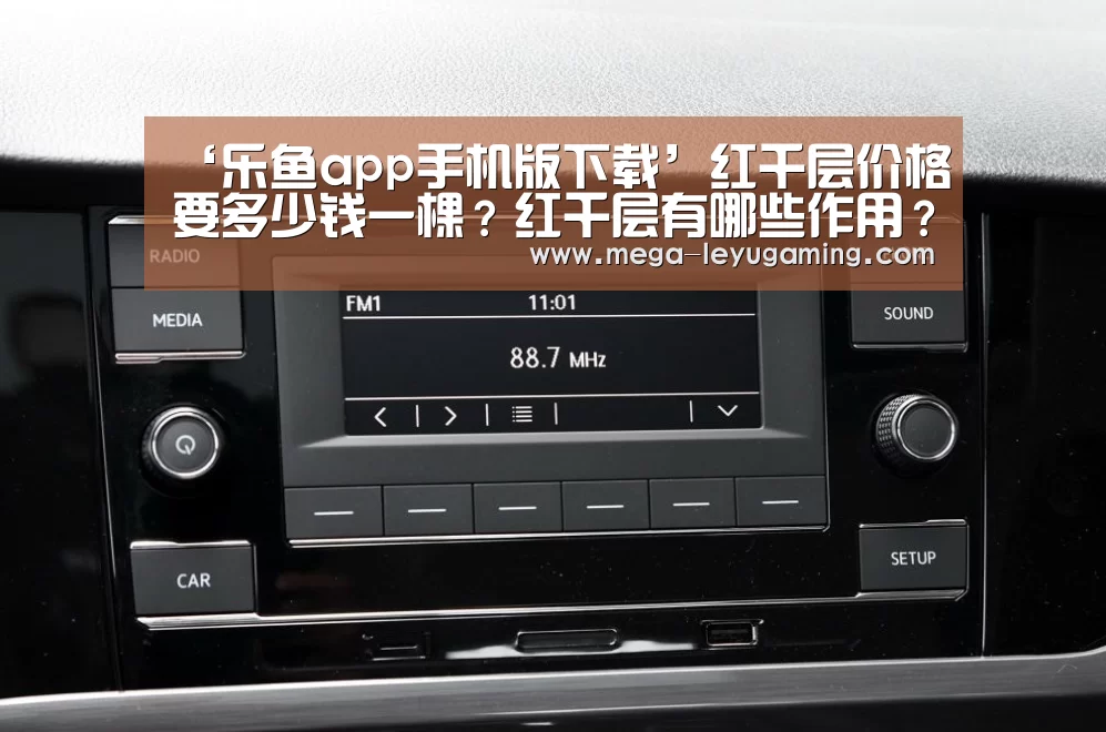 ‘乐鱼app手机版下载’红千层价格要多少钱一棵?红千层有哪些作用?(图1) 体育娱乐