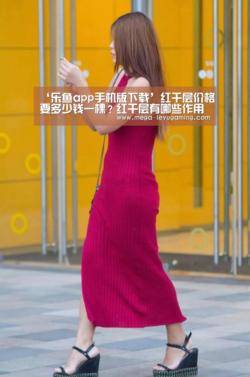 ‘乐鱼app手机版下载’红千层价格要多少钱一棵?红千层有哪些作用?(图2) 体育娱乐