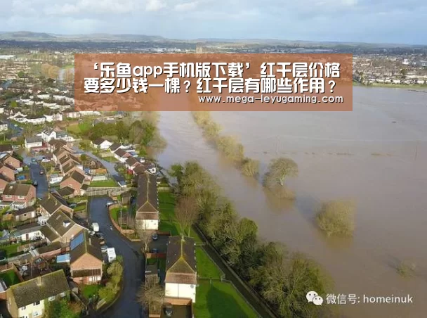 ‘乐鱼app手机版下载’红千层价格要多少钱一棵?红千层有哪些作用?(图4) 乐鱼平台