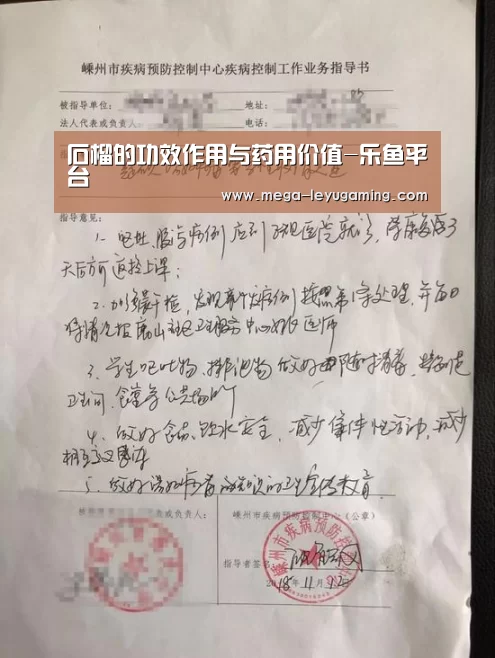 石榴的功效作用与药用价值-乐鱼平台(图2) 乐鱼app手机版下载