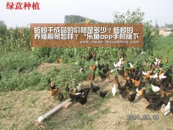 蚯蚓干成品的价格是多少?蚯蚓的养殖前景怎样?‘乐鱼app手机版下载’(图4) 乐鱼app手机版下载