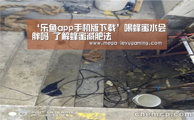 ‘乐鱼app手机版下载’喝蜂蜜水会胖吗 了解蜂蜜减肥法(图4) 乐鱼平台
