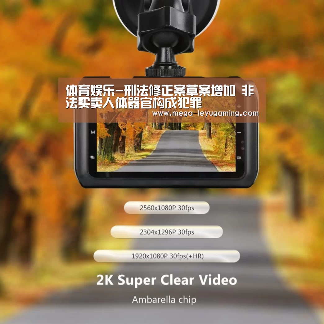 体育娱乐