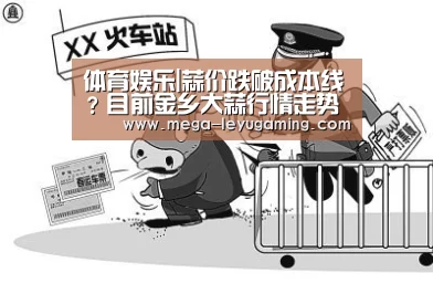 体育娱乐|蒜价跌破成本线?目前金乡大蒜行情走势如何?(图2) 乐鱼app手机版下载