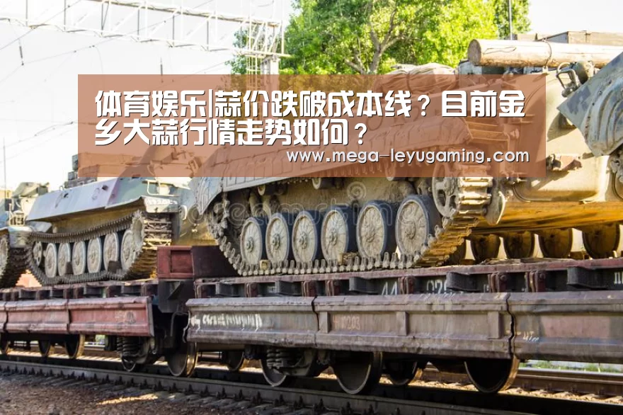 体育娱乐|蒜价跌破成本线?目前金乡大蒜行情走势如何?(图1) 体育娱乐