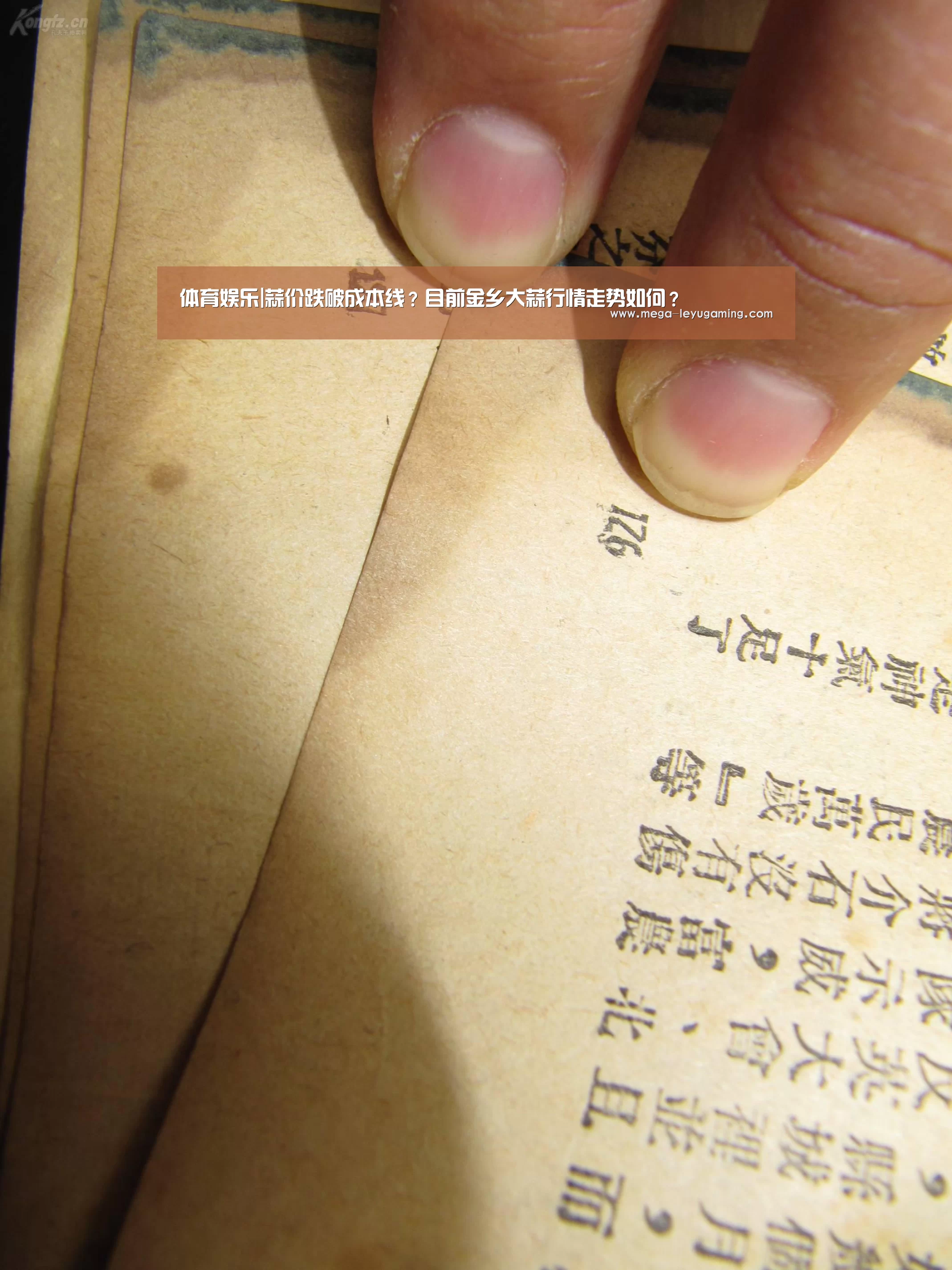 体育娱乐|蒜价跌破成本线?目前金乡大蒜行情走势如何?(图3) 乐鱼app手机版下载