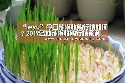 “leyu”今日辣椒收购行情如何?2019各地辣椒收购行情预测(图2) “leyu”今日辣椒收购行情如何?2019各地辣椒收购行情预测(图2)