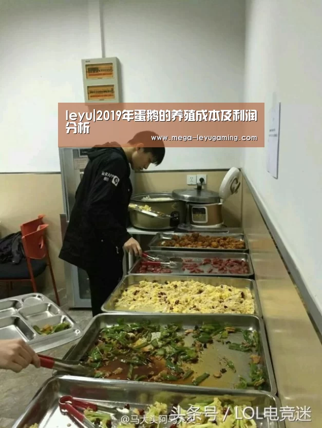 leyu|2019年蛋鹅的养殖成本及利润分析(图1) leyu|2019年蛋鹅的养殖成本及利润分析(图1)