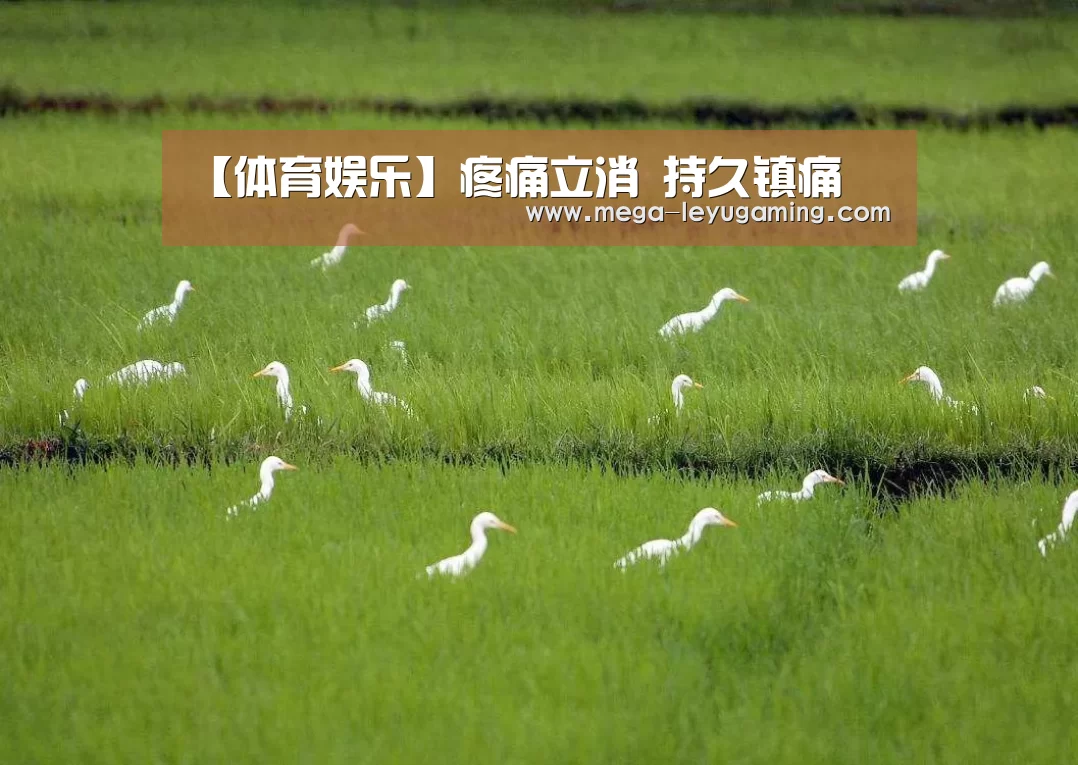 乐鱼平台