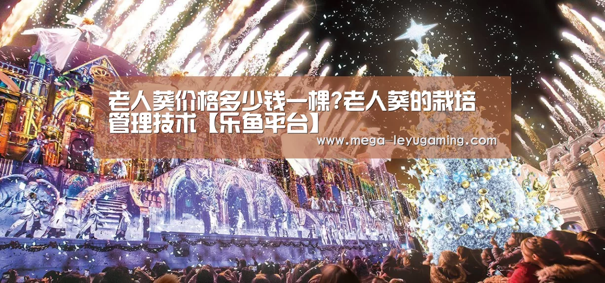 体育娱乐