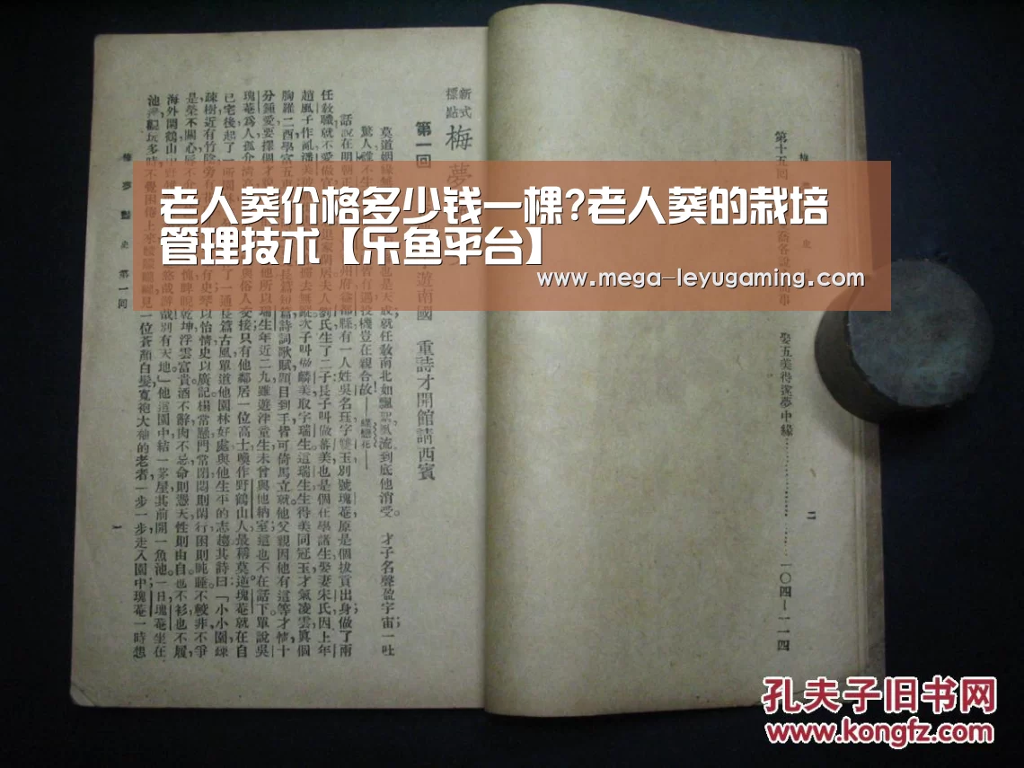 体育娱乐