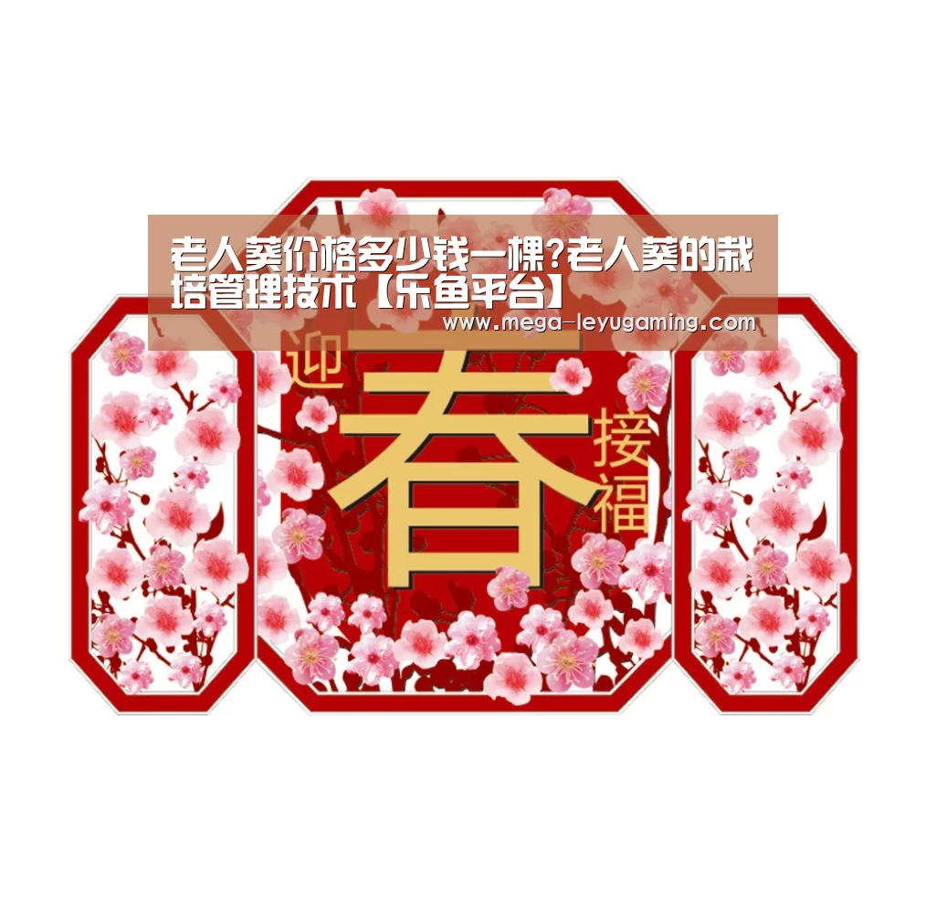 老人葵价格多少钱一棵?老人葵的栽培管理技术【乐鱼平台】(图4)
