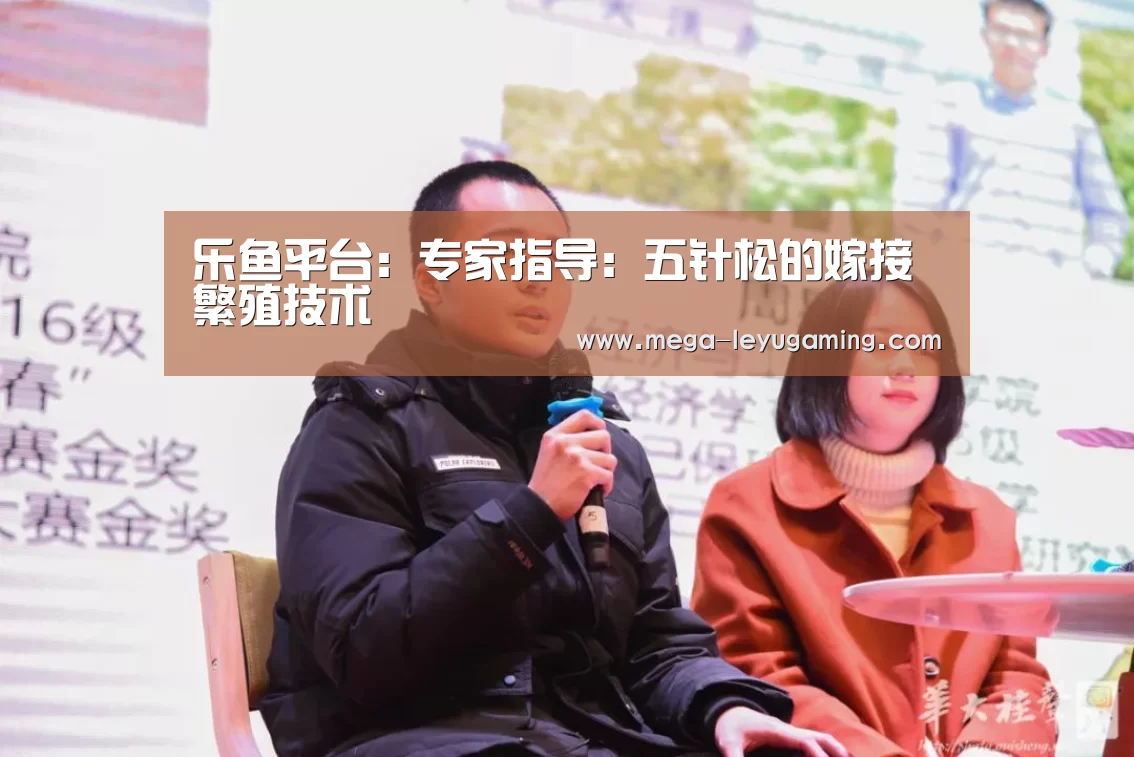 体育娱乐