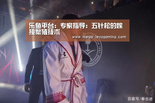 乐鱼平台：专家指导：五针松的嫁接繁殖技术(图1)