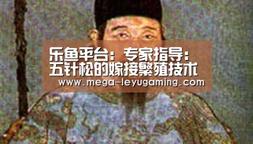 乐鱼app手机版下载