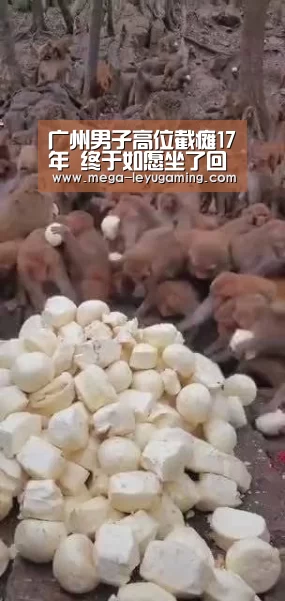 乐鱼app手机版下载