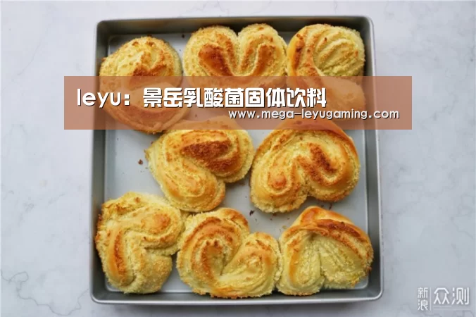 leyu：景岳乳酸菌固体饮料(图2)