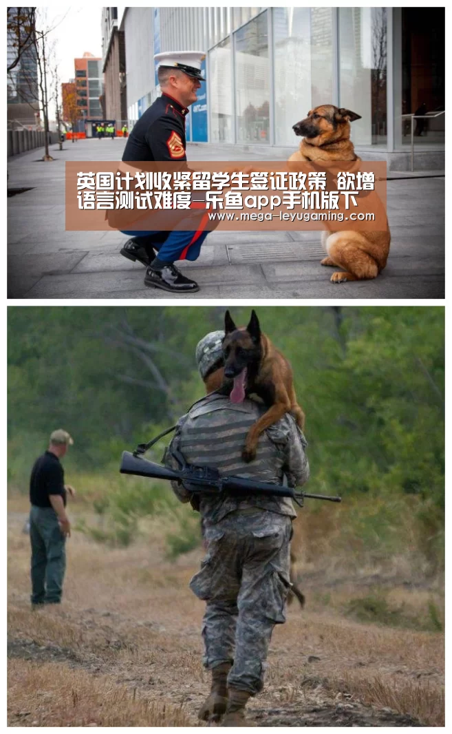 乐鱼平台
