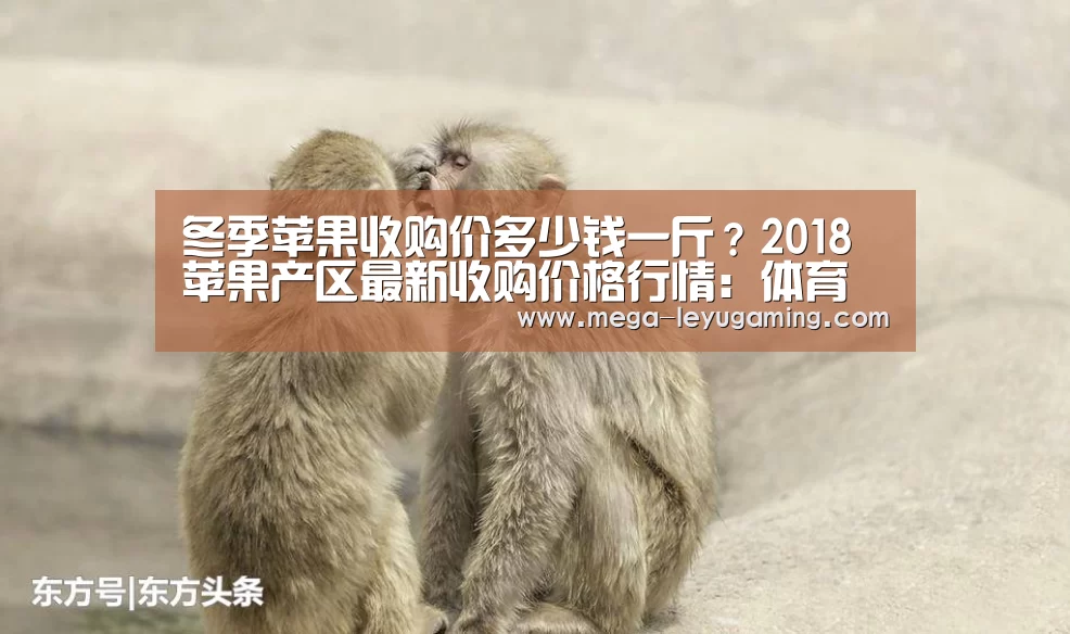 体育娱乐