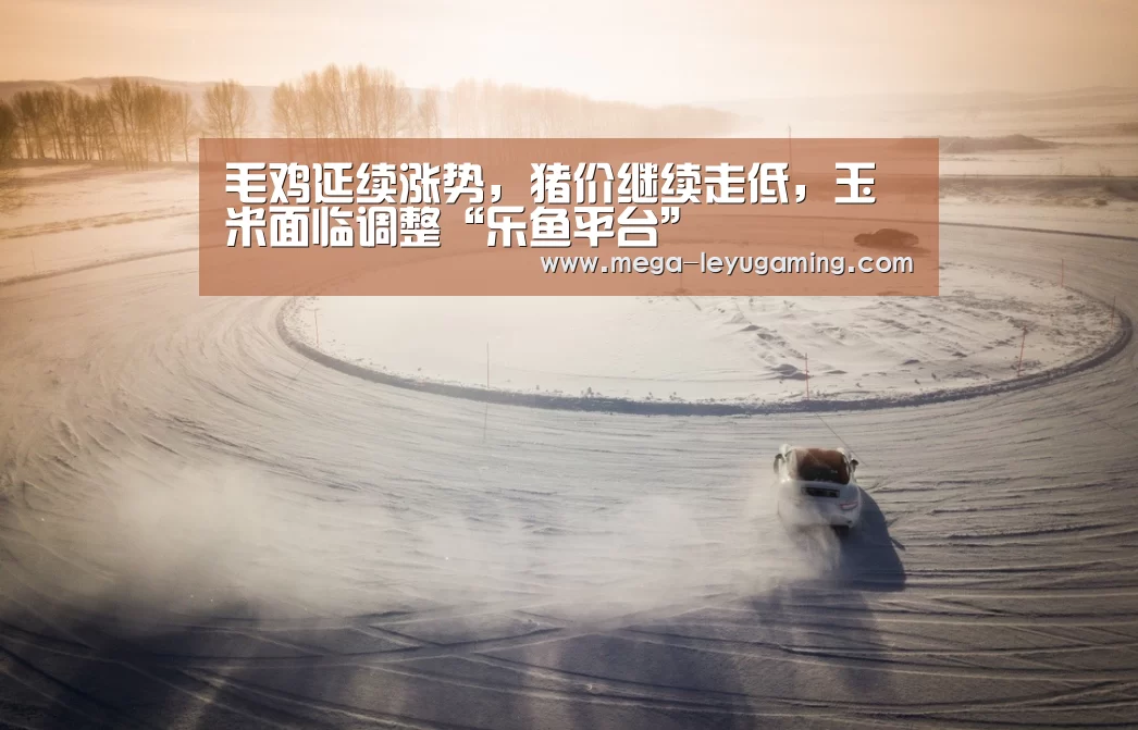 毛鸡延续涨势,猪价继续走低,玉米面临调整“乐鱼平台”(图4) 毛鸡延续涨势,猪价继续走低,玉米面临调整“乐鱼平台”(图4)